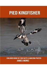 Pied Kingfisher: Children Book of Fun Facts & Amazing Photos
