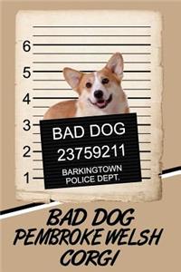 Bad Dog Pembroke Welsh Corgi