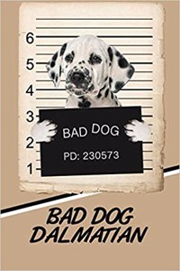 Bad Dog Dalmatian