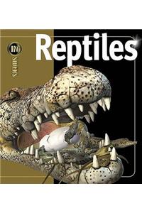 Insiders Reptiles