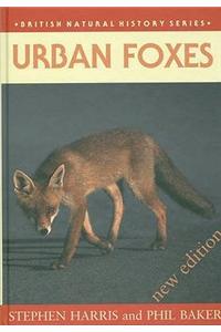 Urban Foxes