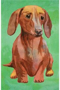 Journal Notebook For Dog Lovers Dachshund