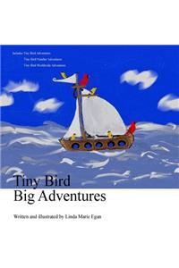 Tiny Bird Big Adventures