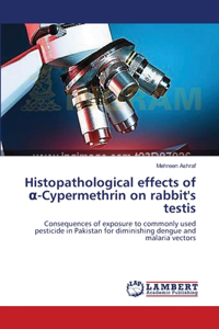 Histopathological effects of α-Cypermethrin on rabbit's testis