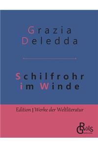 Schilfrohr im Winde