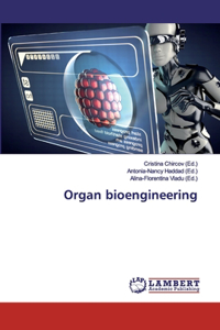 Organ bioengineering