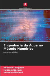 Engenharia da Água no Método Numérico