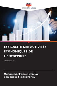 Efficacité Des Activités Économiques de l'Entreprise