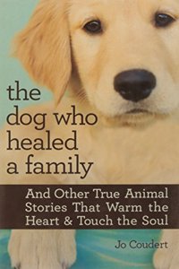 The Dog Who Healed a Family