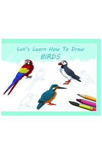 Let's Learn How to Draw Birds