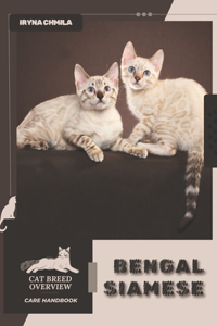 Bengal Siamese