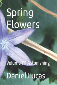 Spring Flowers