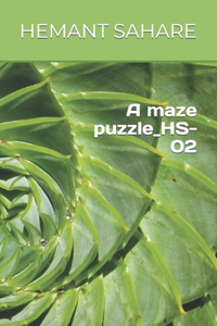 A maze puzzle_HS-02