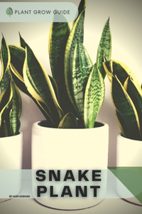 Snake Plant