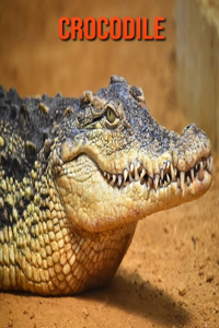 Crocodile