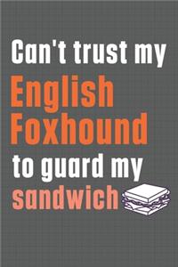 Can't trust my English Foxhound to guard my sandwich