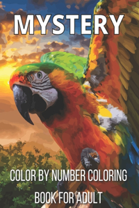 Mystery Color By Number Coloring Book For Adult
