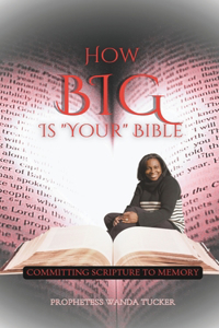 How Big Is Your Bible