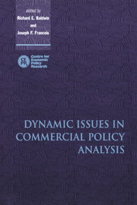 Dynamic Issues in Applied Commercial Policy Analysis