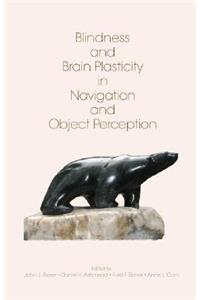 Blindness and Brain Plasticity in Navigation and Object Perception