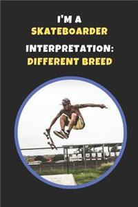 I'm A Skateboarder. Interpretation