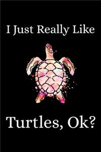 I Just Really Like Turtles, Ok?