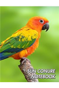 Sun Conure Notebook