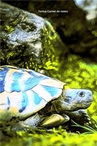 Tortue Carnet de notes