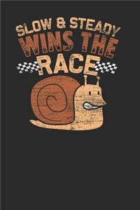 Slow And Steady Wins The Race