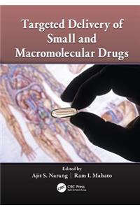 Targeted Delivery of Small and Macromolecular Drugs