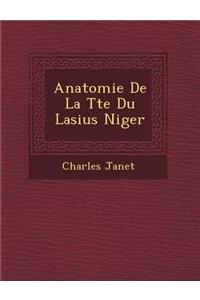 Anatomie de La T Te Du Lasius Niger