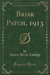 Briar Patch, 1913 (Classic Reprint)