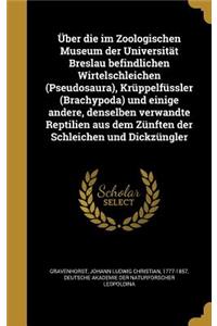 Uber Die Im Zoologischen Museum Der Universitat Breslau Befindlichen Wirtelschleichen (Pseudosaura), Kruppelfussler (Brachypoda) Und Einige Andere, Denselben Verwandte Reptilien Aus Dem Zunften Der Schleichen Und Dickzungler