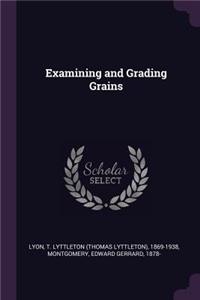 Examining and Grading Grains