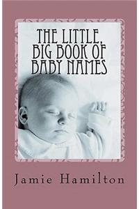 Little, Big Book of Baby Names