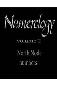 North Node numbers