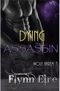 Dying Assassin