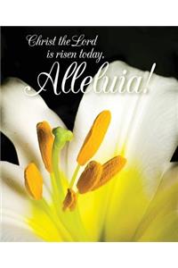 Christ the Lord Easter Lilies Bulletin, Large (Pkg of 50)