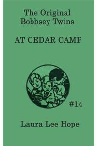 Bobbsey Twins at Cedar Camp