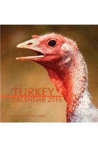 Turkey Calendar 2016