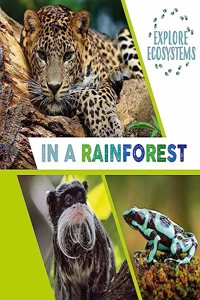 Explore Ecosystems: In a Rainforest