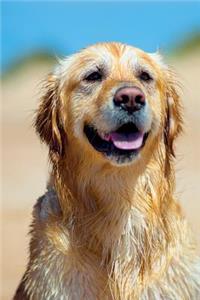 Golden Retriever January Notebook & Journal. Productivity Work Planner & Idea Notepad