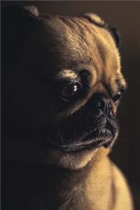 Pug Dog Profile Journal