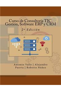 Curso de Consultoría TIC. Gestión, Software ERP y CRM