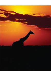 Giraffe Sunset Blank Sketchbook