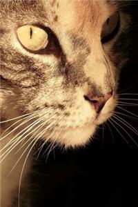 So Darling Tabby Cat in Profile Sweet Pet Journal