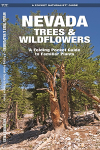 Nevada Trees & Wildflowers