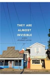They Are Almost Invisible