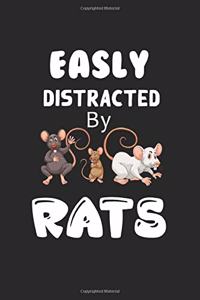 Easily Distracted By Rats