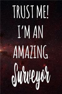 Trust Me! I'm An Amazing Surveyor